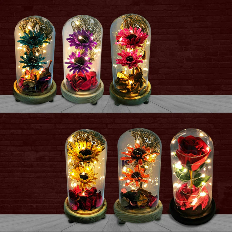 Set of six glass dome LED rose lights with preserved blooms and glowing warm LEDs