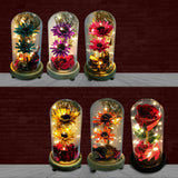 Preserved Rose Glass Dome LED Light Mum Birthday Christmas Mothers day Xmas Gift Roses