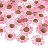 60-Pack Dried Pressed Flowers for Resin, Real Natural Dry Floral [Pink] Dried Flower