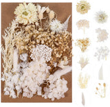 Real Natural Dried Flowers - Mixed Hydrangeas, Daisies, White Decorative for DIY Hydrangea