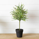 New Primitive Farmhouse Artificial Baby Tears GREEN TOPIARY POT Herb Plant 24" Green Plant