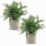 2Pcs Artificial Potted Rosemary Plants- Rustic Farmhouse Fake Shrubs for Deco... Green Plant