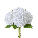 4Pcs Realistic White Hydrangea Artificial Flowers with Stems 19.68 Inch Latex... Hydrangea