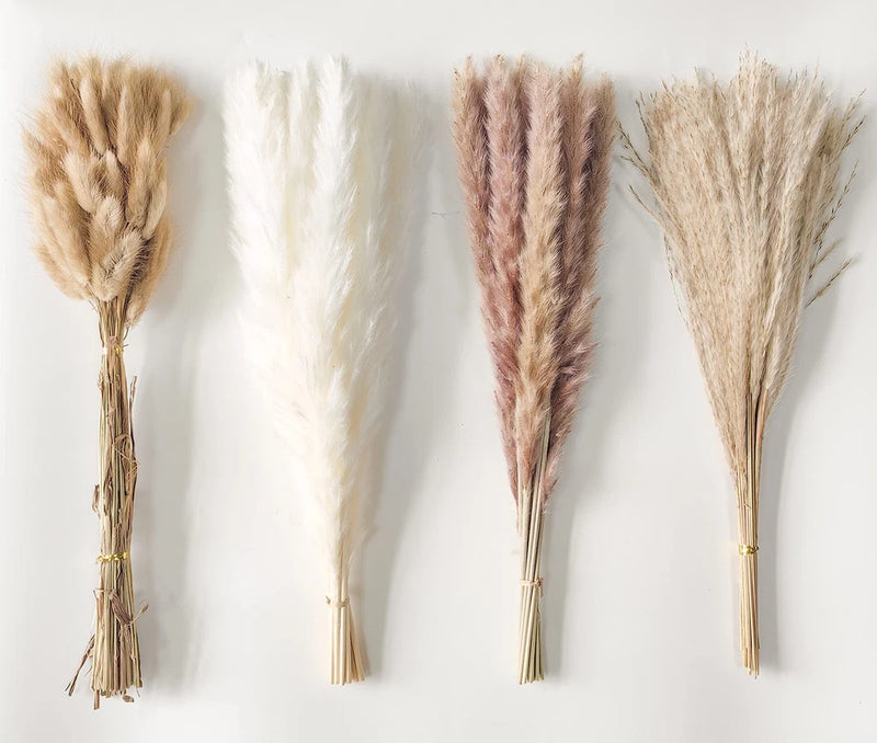 Dried Pampas Grass Decor 110 PCS Dried Plants,Dried Flowers Natural pompas Fl... Flowering Plants