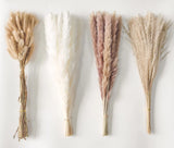 Dried Pampas Grass Decor 110 PCS Dried Plants,Dried Flowers Natural pompas Fl... Flowering Plants
