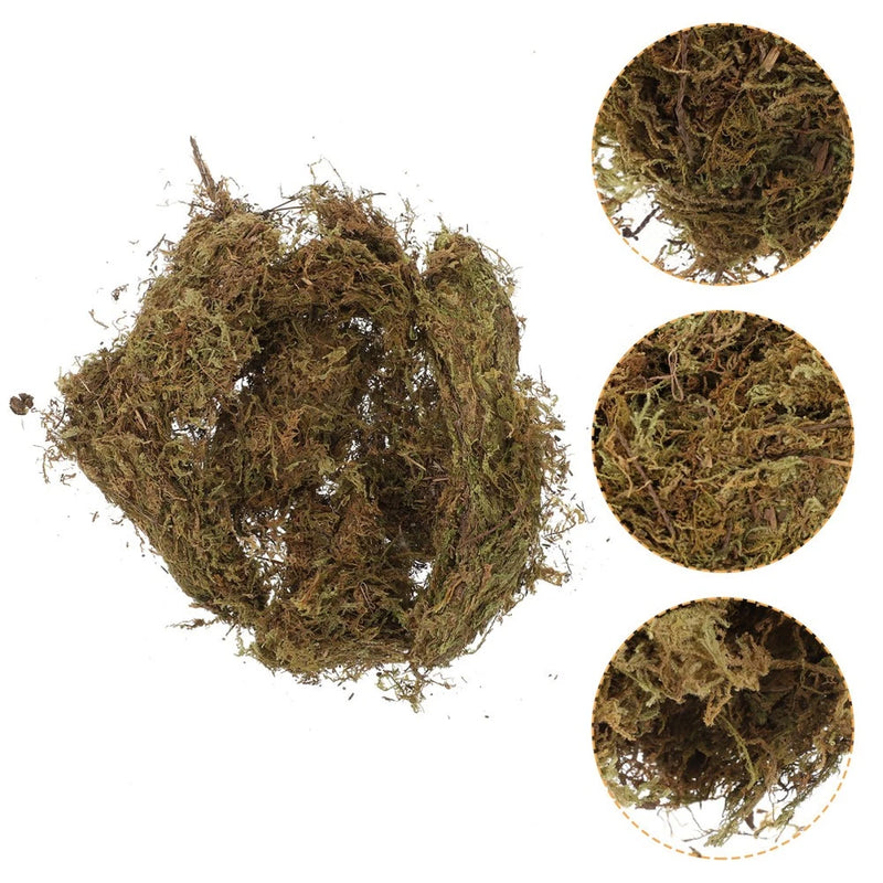 2 Packs Gardening Dried Moss Natural Moss for Flowerpot Moss Landscaping Green Plant