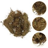 2 Packs Gardening Dried Moss Natural Moss for Flowerpot Moss Landscaping Green Plant