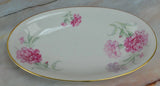 Vintage Bavaria Tirschenreuth China Carnation Relish Dish Carnation