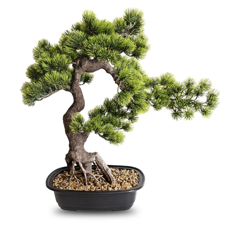 Large artificial bonsai plant with dark green needles, twisted trunk, in black pot