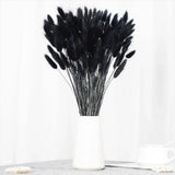 Natural Bunny Tails Dried Flowers - 100 PCS Rabbit Tail Grass, BLACK Dried Flower