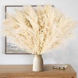 11 PCS 17inch Pampas Grass Small Decor-Natural Short Pampas Grass Bulk-Fluffy... Pampas Grass