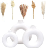Velova Set of 3 White Ceramic Vases with 65pcs Dried Pampas Grass Flowers Aesthe Pampas Grass