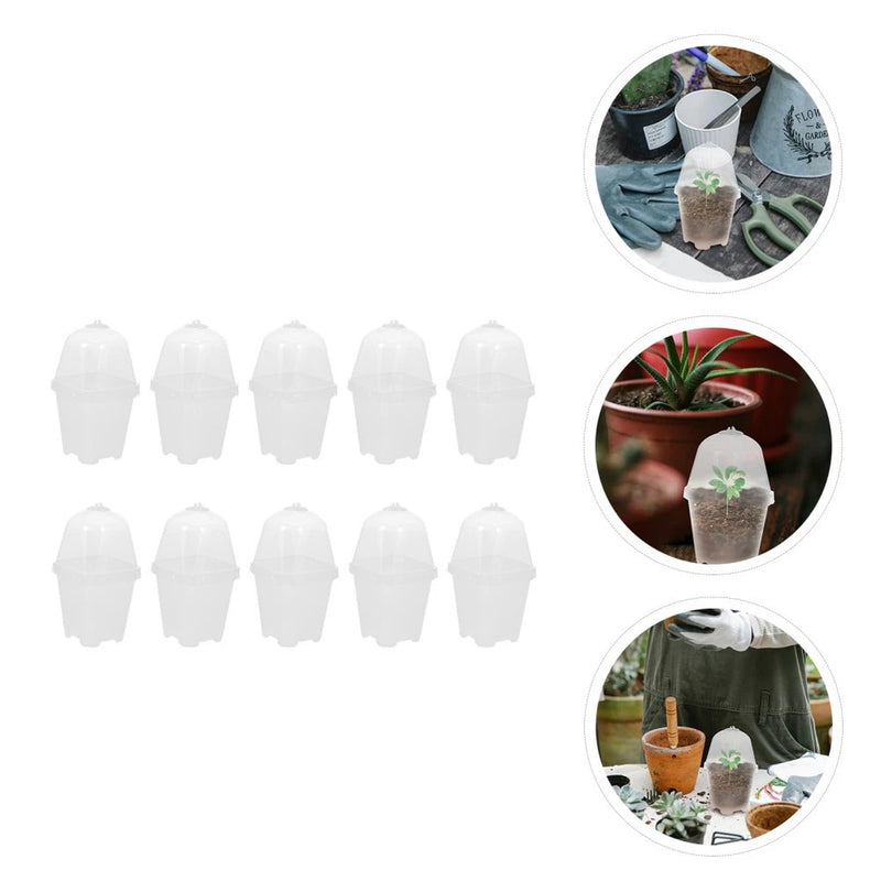 10 Sets Plant Germination Plastic Cups Nursery Sowing Boxes with Lids Garden Garden Plants