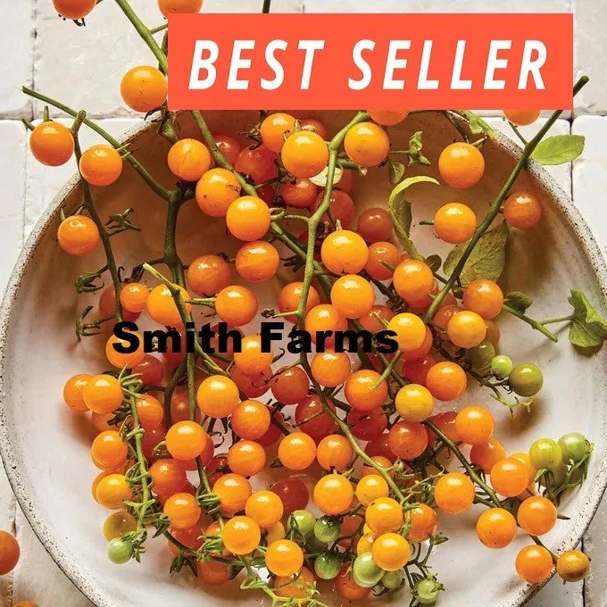 50+ Seeds Yellow Currant Tomato Hybrid Juicy Easy to Grow Vegetable Garden Garden Plants