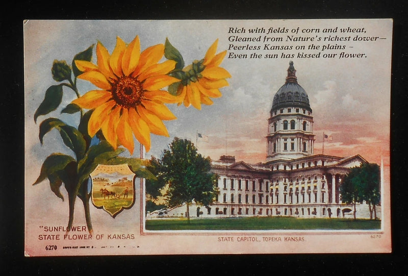Vintage Kansas state flower postcard with sunflowers and Topeka State Capitol illustration