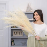 Salimfp || Fluffy Faux Pampas Grass Decor || 47Ó Tall || 3pk || Brand NEW || Pampas Grass