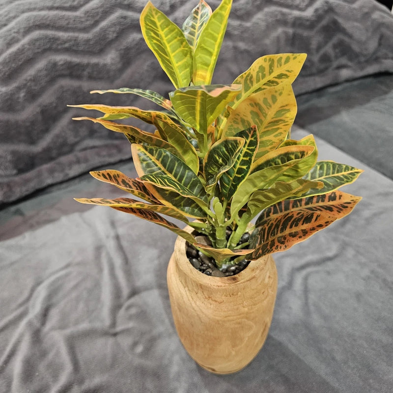 Artificial croton plant in wooden vase with green and yellow variegated leaves