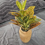 Artificial Croton Plant in Wooden Vase Ð Decorative Tabletop Plant Green Plant