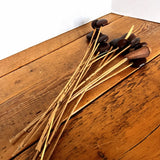 Wood Seed Pods W/Stem (11x) For Floral Arrangements Vases Decor MCM Dried Flower