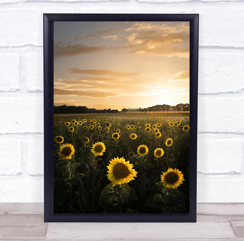 Framed sunflower field wall art print with yellow blooms and golden sunset sky