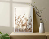 Stunning Pampas Grass Poster Premium Quality Choose your Size Pampas Grass