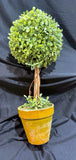 Artificial Plant Round Shape Easy Maintenance Artificial Plant Pot Green Plant