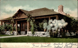 California log cabin home ~ pampas grass ~ UDB mailed 1907 ~ postcard sku905 Pampas Grass