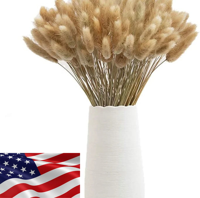 Bouquet Rabbit Tail Flowers Eternal Dried Pampas Grass Natural Decor 50-60 Pcs Pampas Grass