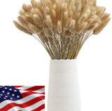 Bouquet Rabbit Tail Flowers Eternal Dried Pampas Grass Natural Decor 50-60 Pcs Pampas Grass