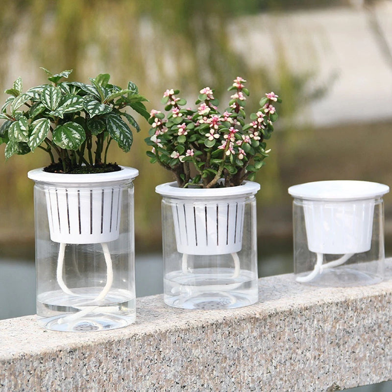 Self-watering transparent plant pot with white insert and clear base, set of 3