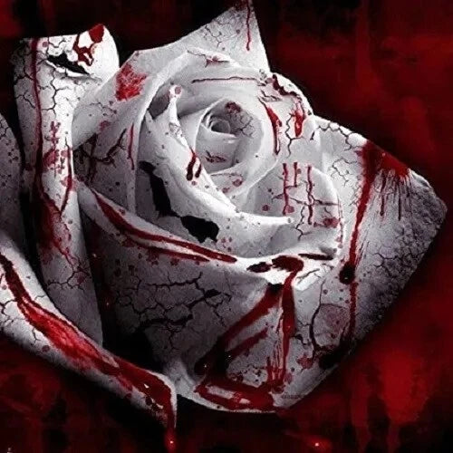 50PCS White Blood Rose Plant Flower Seeds Fragrant Garden Flower Perennial Roses