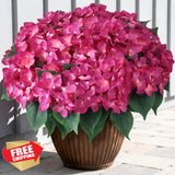 FOTEEWL 8 Bundles Artificial Hydrangea Flowers Rose Red Outdoor Hydrangea