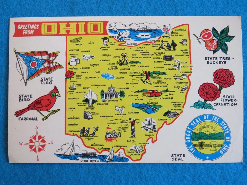 Vintage POSTCARD: State of OHIO: Buckeye Tree, Carnation Flower, Flag, Cardinal Carnation