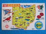 Vintage POSTCARD: State of OHIO: Buckeye Tree, Carnation Flower, Flag, Cardinal Carnation