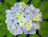 PAINTING WATERCOLOR ART FLOWER HYDRANGEA PURPLE 11X14 AND DOUBLE WHITE MAT 16X20 Hydrangea