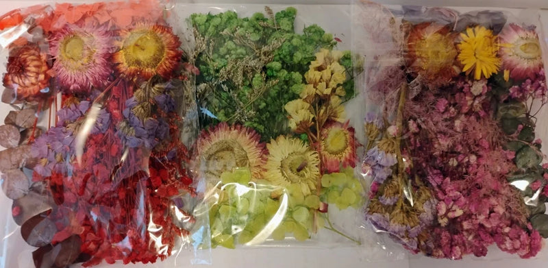 Assorted pressed dried flowers in red, purple, green, and yellow for resin crafts