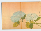 Postcard Hydrangea Keibun Victoria & Albert Museum London England Hydrangea