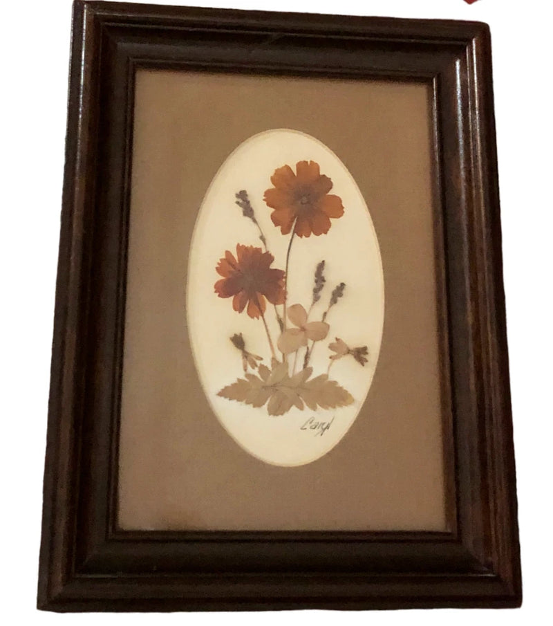 Framed pressed dried flower art with oval mat and brown-orange blossoms in a dark wood frame