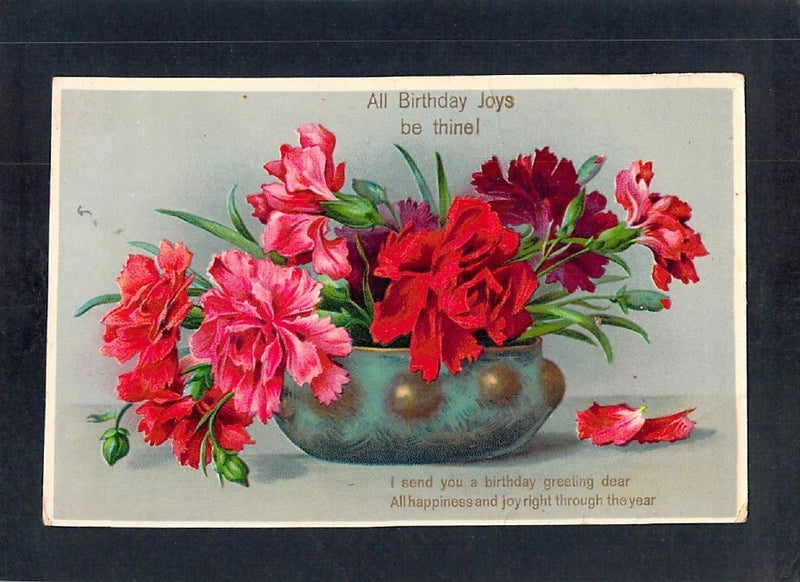 X0108 Greetings Birthday Carnation Flowers Alfred Stiebel vintage postcard Carnation