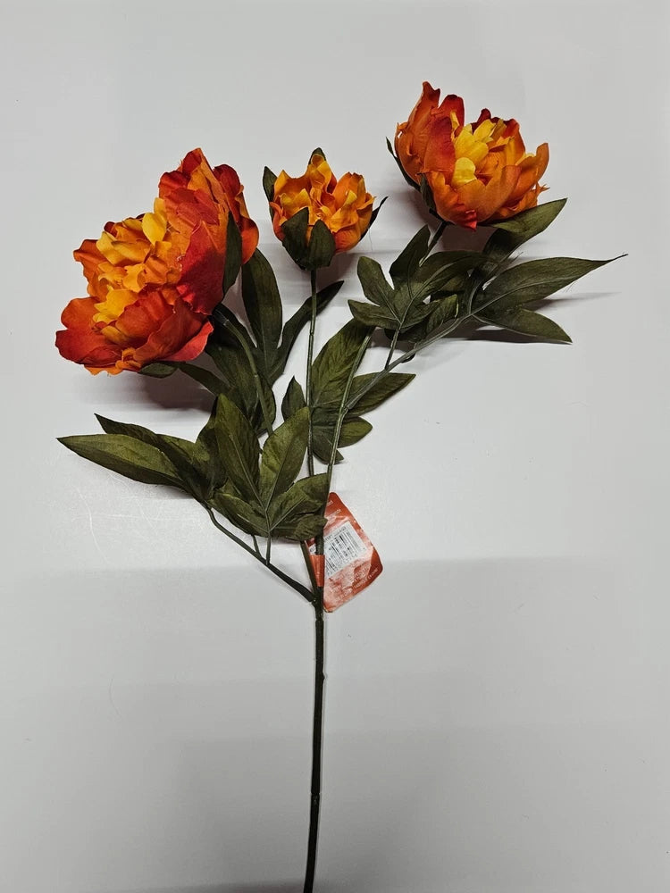 Peony flower stem with three yellow-orange and red blooms and green leaves