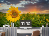 3D Sunflower Flower Wallpaper Wall Murals Removable Wallpaper 54 Sunflower