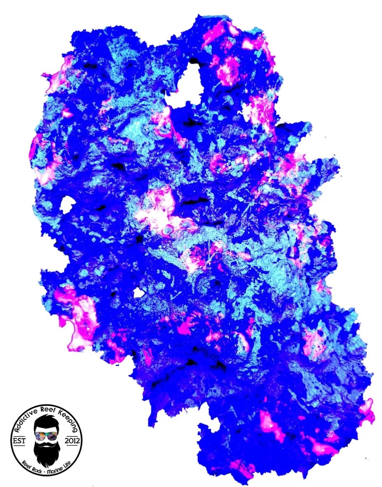 Pink UV ARK Reef Rock DRY Aragonite Base, Porous Aquariums Live GLOWS UNDER BLUE Anemone