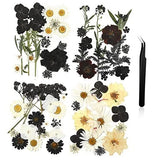Nuanchu Pressed Flowers Bulk Dried Flower for Crafts, Dried Flower Darkly Style Dried Flower