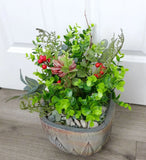 3 Pcs Artificial Plant Plastic  Bunch Mini Gress Red Succulents Grass Green Plant