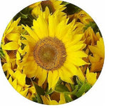 YELLOW SUNFLOWER charm handmade pendant 20