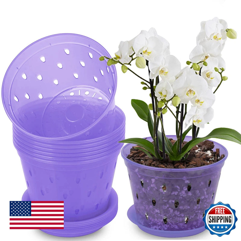 Purple plastic orchid pots with saucers and drainage holes, with orchid plant