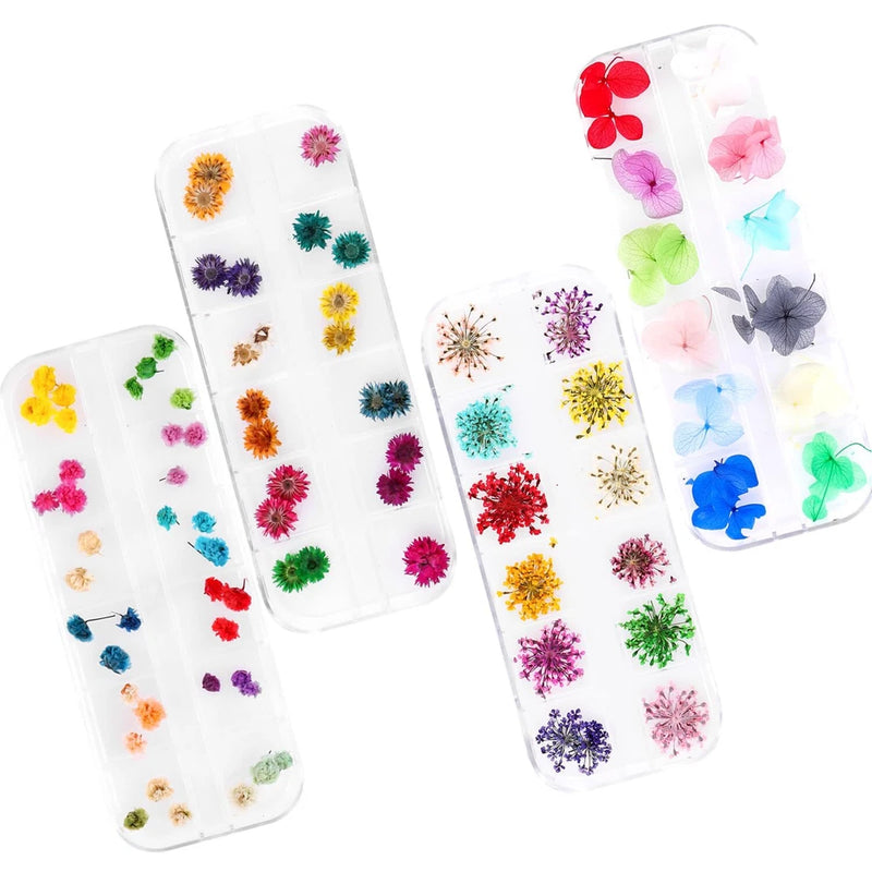Dried flower nail art set, assorted colorful blooms in two clear storage cases