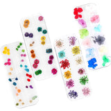 108PCS Dried Flowers for Nail Art - Lovely Natural Flower Nail Art Nail Art A... Dried Flower