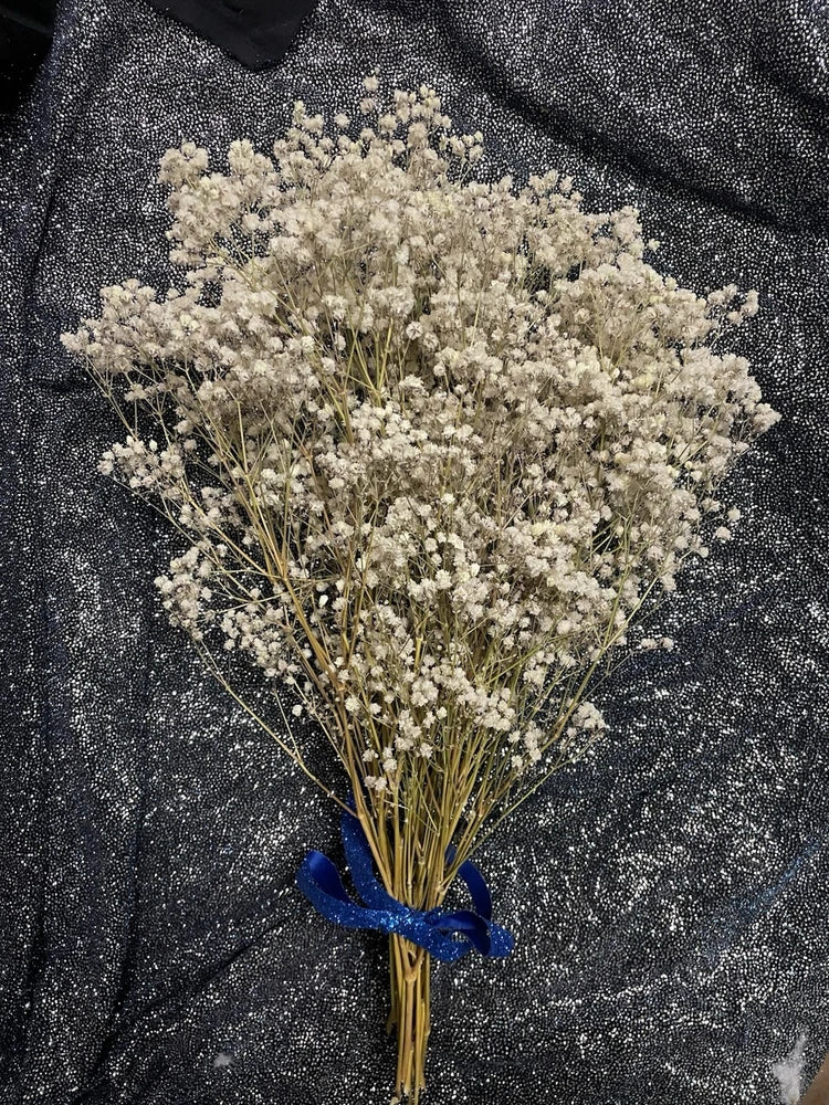 Dried BabyÕs Breath Dried Flower