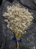 Dried BabyÕs Breath Dried Flower